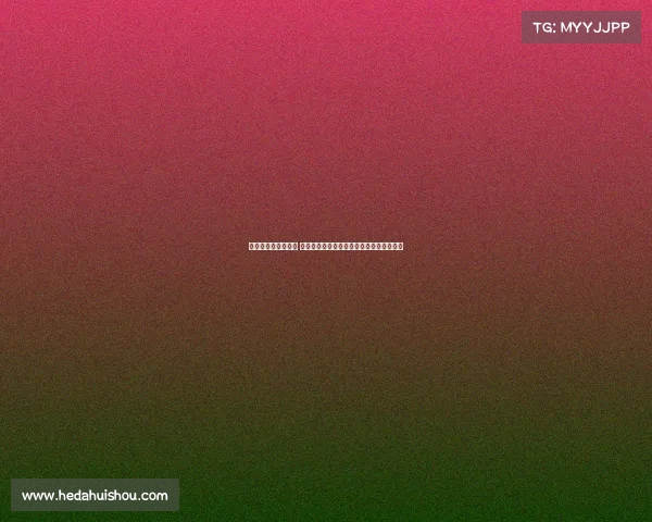 网球赛场背后的故事 揭秘顶级选手训练与赛事筹备的艰辛与荣耀