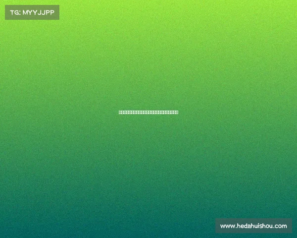 足球俱乐部引援资金管理方案优化与实施策略研究报告