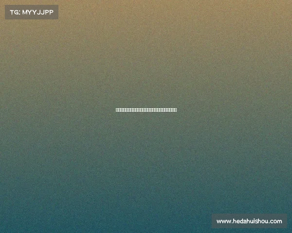 西汉姆联崛起之路：从英超保级队到欧洲赛场的强劲挑战