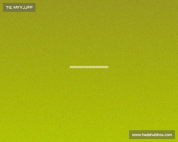 西甲中文解说全解析：深入了解西甲赛事背后的故事与魅力